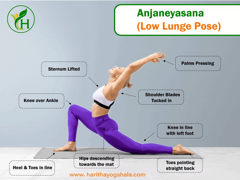 Infographics of Anjaneyasana (Low Lunge Pose)
